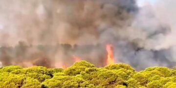 Declarado un incendio forestal junto a una urbanización de Lepe que obliga a activar el Plan de Emergencias