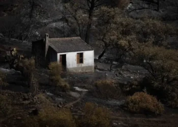 Berrocal pide ayuda para levantarse tras el incendio de Niebla: «El verdadero drama empieza ahora»