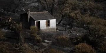 Berrocal pide ayuda para levantarse tras el incendio de Niebla: «El verdadero drama empieza ahora»