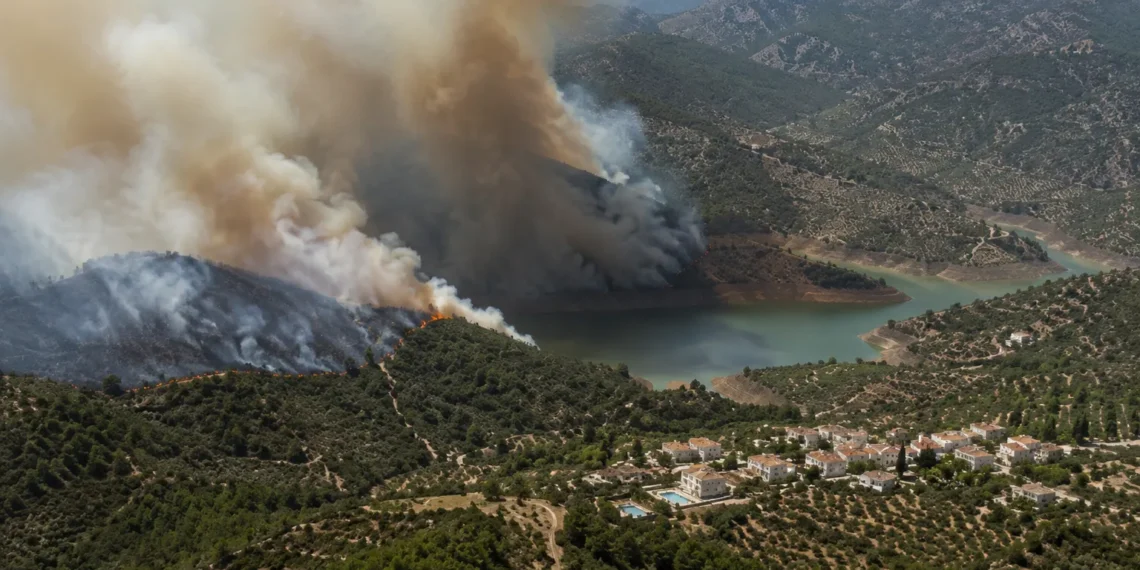 Ayudas incendio Pinos del Valle El Pinar El Valle por daños tras la emergencia