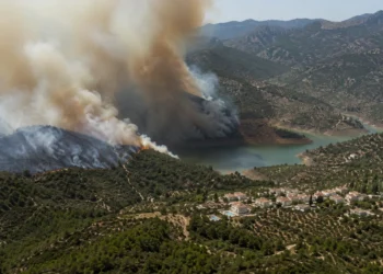 Ayudas incendio Pinos del Valle El Pinar El Valle por daños tras la emergencia