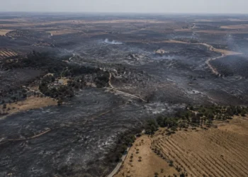 Incendio de Niebla extinguido tras afectar a unas 33.000 hectáreas en Huelva