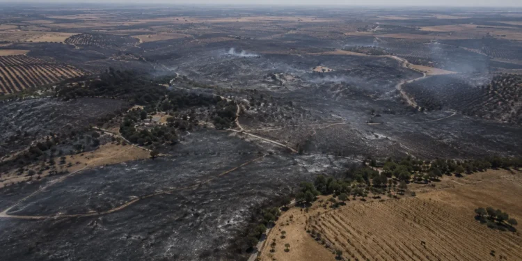 Incendio de Niebla extinguido tras afectar a unas 33.000 hectáreas en Huelva