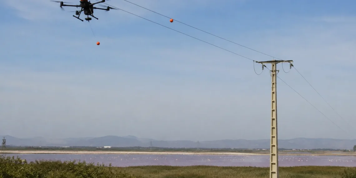 Endesa drones balizas Fuente de Piedra para proteger aves en líneas eléctricas