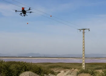Endesa drones balizas Fuente de Piedra para proteger aves en líneas eléctricas
