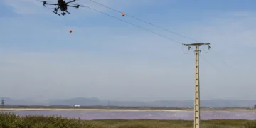 Endesa drones balizas Fuente de Piedra para proteger aves en líneas eléctricas