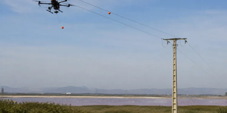 Endesa drones balizas Fuente de Piedra para proteger aves en líneas eléctricas