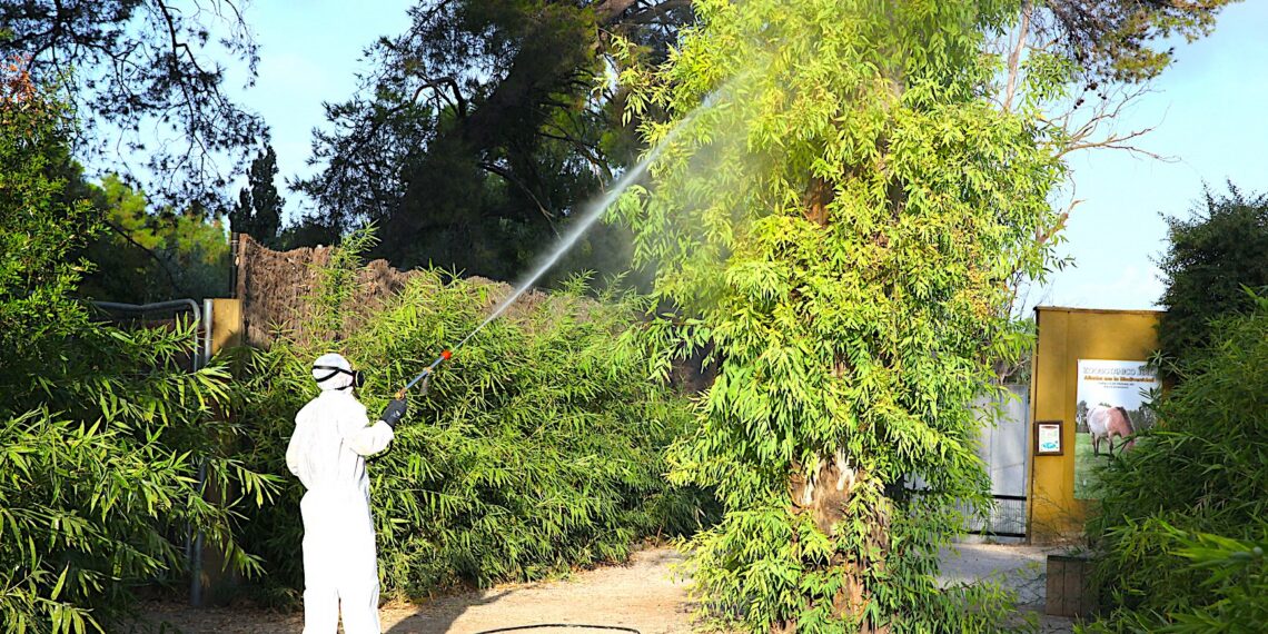 Control de mosquitos por virus del Nilo en Andalucía