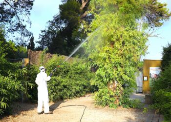 Control de mosquitos por virus del Nilo en Andalucía