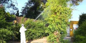 Control de mosquitos por virus del Nilo en Andalucía