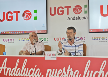 Aceituna de mesa en Sevilla durante la campaña del verdeo