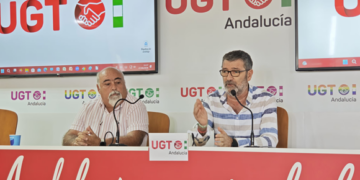 Aceituna de mesa en Sevilla durante la campaña del verdeo