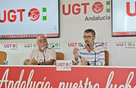Aceituna de mesa en Sevilla durante la campaña del verdeo