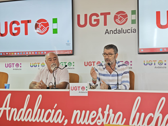 Aceituna de mesa en Sevilla durante la campaña del verdeo