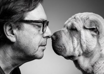 LOS OJOS DE UN PERRO Y LA POLÍTICA DE LOS AFECTOS