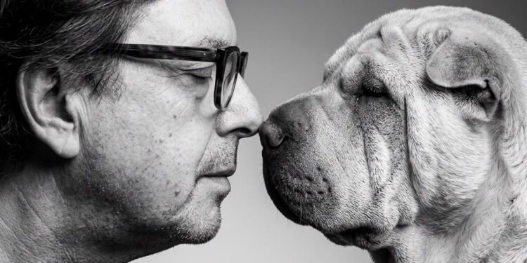 LOS OJOS DE UN PERRO Y LA POLÍTICA DE LOS AFECTOS