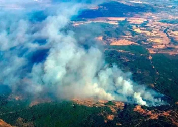 Un incendio forestal obliga a desalojar dos aldeas de Niebla y activa el nivel 1 de emergencia en Huelva