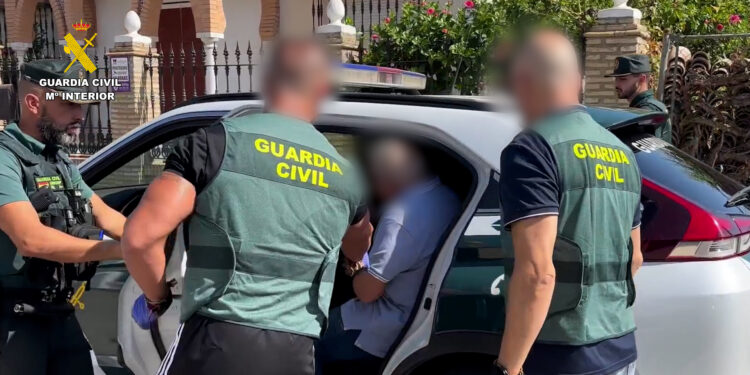 Presunta estafa a aceituneros de Sevilla y Huelva investigada por la Guardia Civil