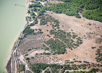 Subvención oficial de 4,5 millones para municipios del entorno de Doñana