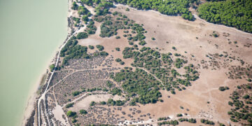 Subvención oficial de 4,5 millones para municipios del entorno de Doñana