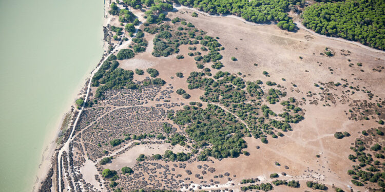 Subvención oficial de 4,5 millones para municipios del entorno de Doñana