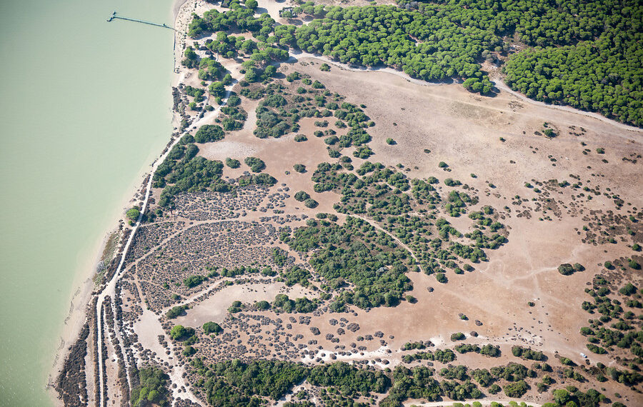Subvención oficial de 4,5 millones para municipios del entorno de Doñana