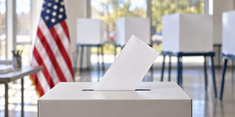 Estados Unidos votará el 3 de noviembre unas elecciones legislativas y estatales, no presidenciales