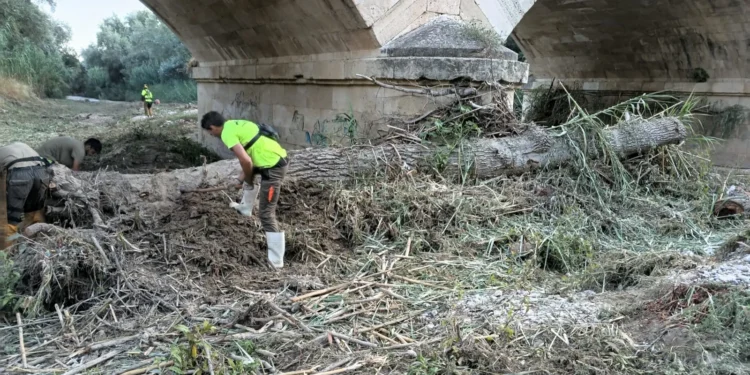Trabajos para mejorar el ciclo del agua en Jaén en la Vega de los Ríos