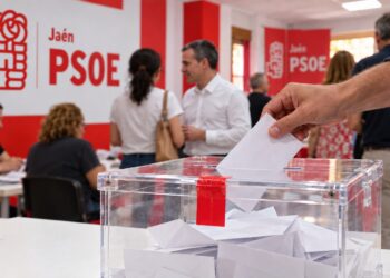 LAS PRIMARIAS NO SON EL PROBLEMA. SON DEMOCRACIA.