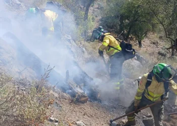 Incendio de Igualeja estabilizado tras el operativo de extinción en Málaga