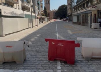 Tranvibús de Sevilla en el debate municipal por el nuevo modificado del proyecto